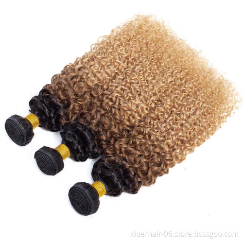 Free Sample 613 Deep Curly Best 12A Burmese Indian Bundle Hair Vendors With Frontals